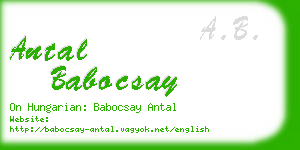 antal babocsay business card